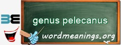 WordMeaning blackboard for genus pelecanus